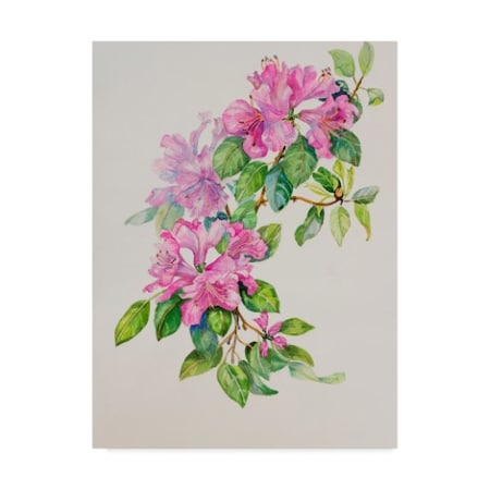 Joanne Porter 'Pink Azaleas' Canvas Art,24x32